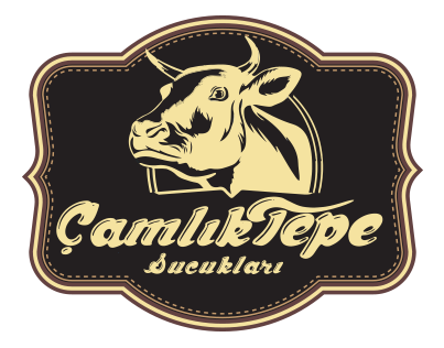 LOGO-2